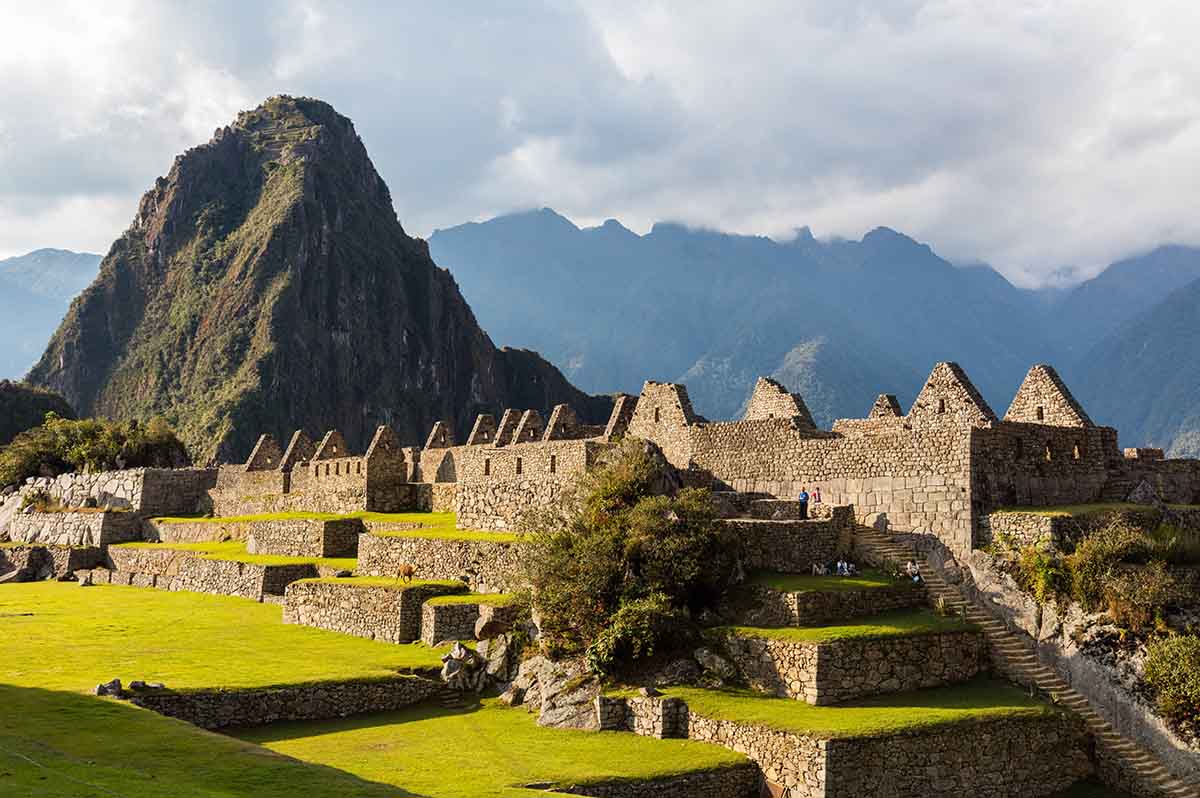 AOVE en Perú: oportunidades de exportación
