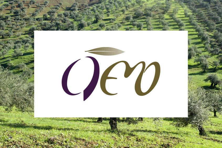 Premios AEMO al olivar y almazara más sostenibles