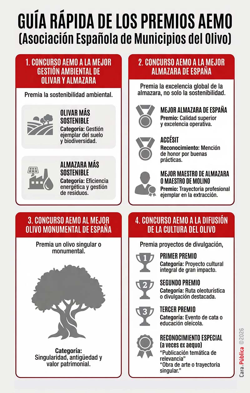 infografia que explica las modalidades de los premios aemo