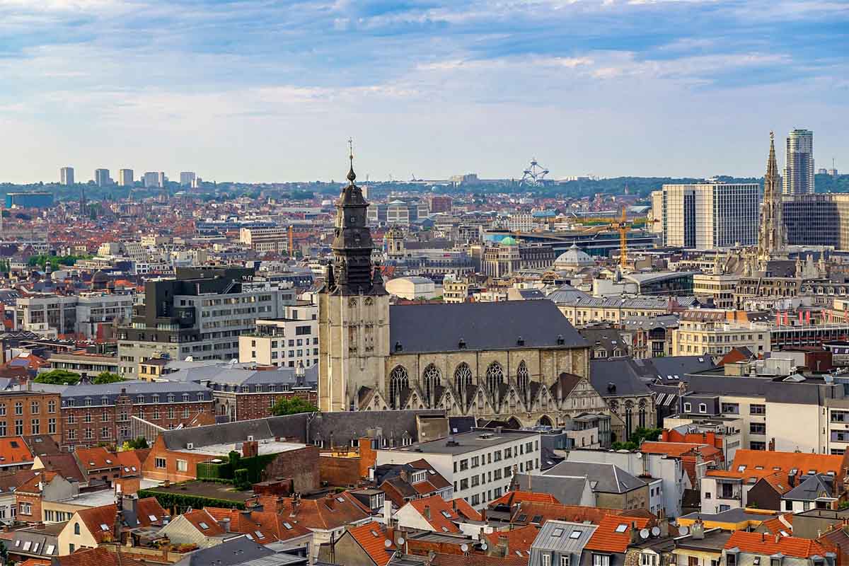 El mercado de Aceite de Oliva en Bélgica
