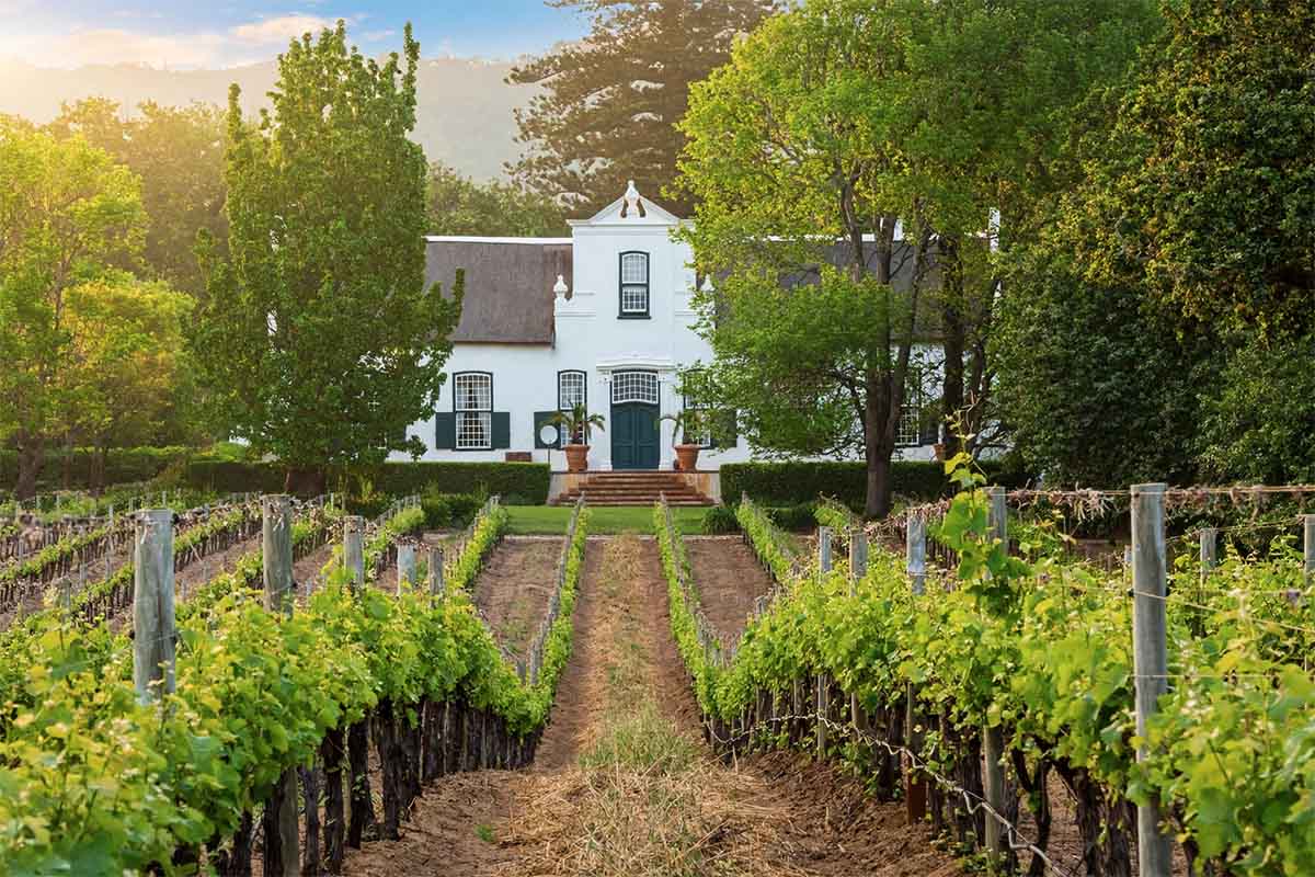 Casa señorial de estilo Cape Dutch rodeada de viñedos en el Western Cape, Sudáfrica
