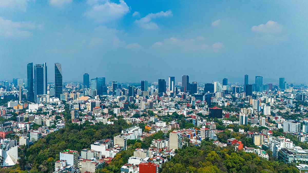 El mercado del Aceite de Oliva en México
